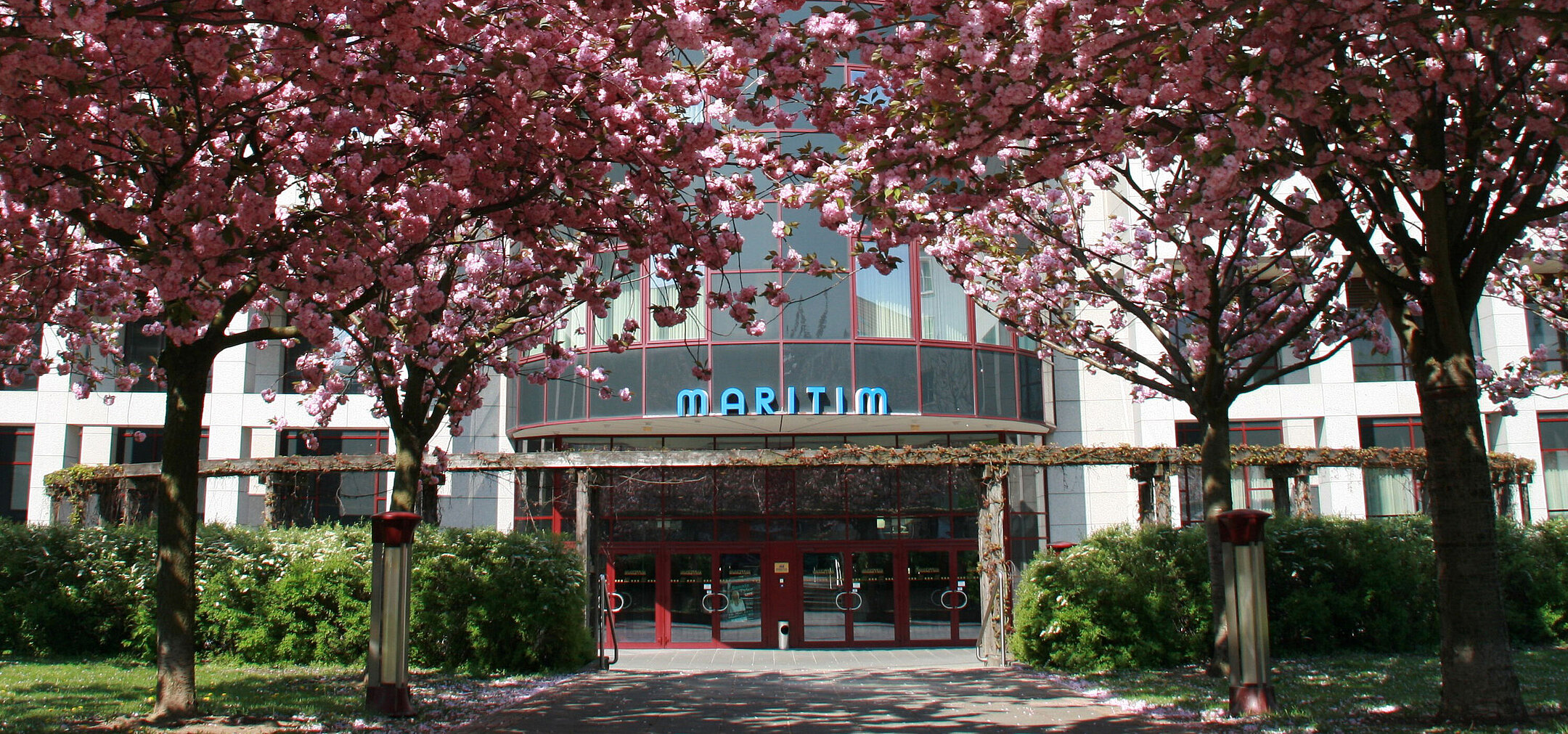 The entrance of Maritim Hotel Magdeburg in spring, surrounded by blooming cherry trees.